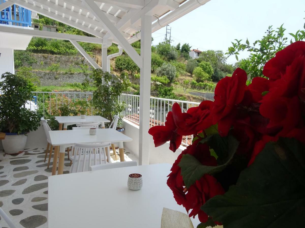 Galini Hellenic Hospitality Aparthotel ปาติติริ ภายนอก รูปภาพ